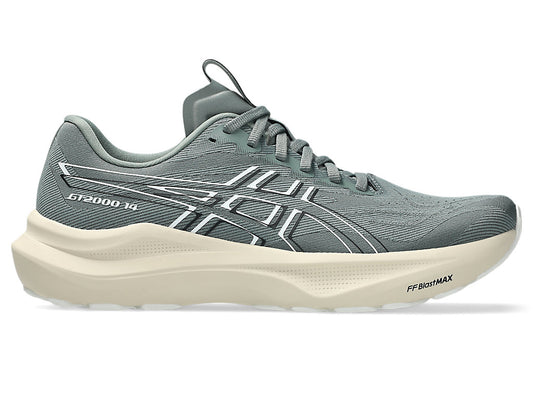 Asics Men's GT-2000 14