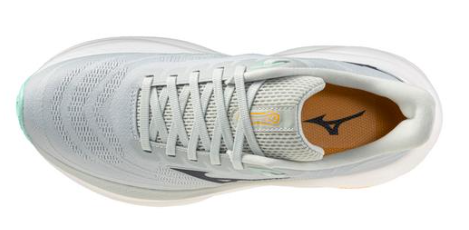 Mizuno Women's Wave Sky 9 Wide D
